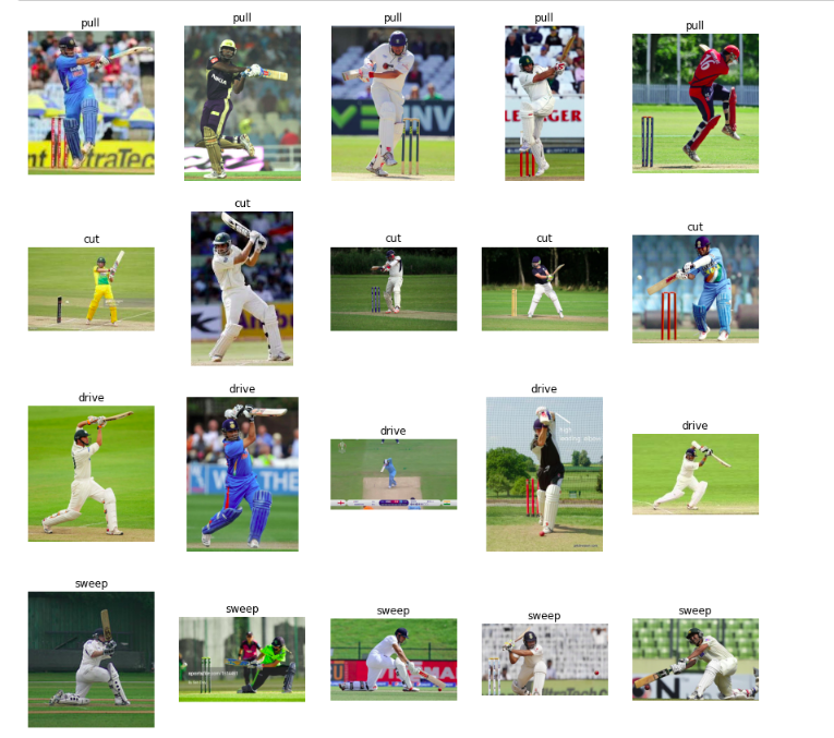 Cricket Shot Classification using Pose of the Player Image